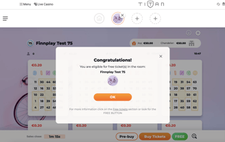 Bingo Free Tickets (3)