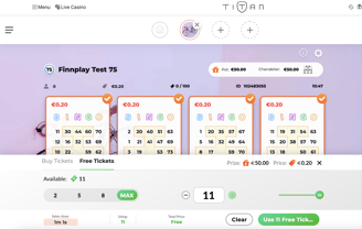 Bingo Free Tickets (4)