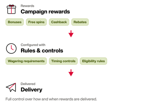 flexible rewards and campaign logic