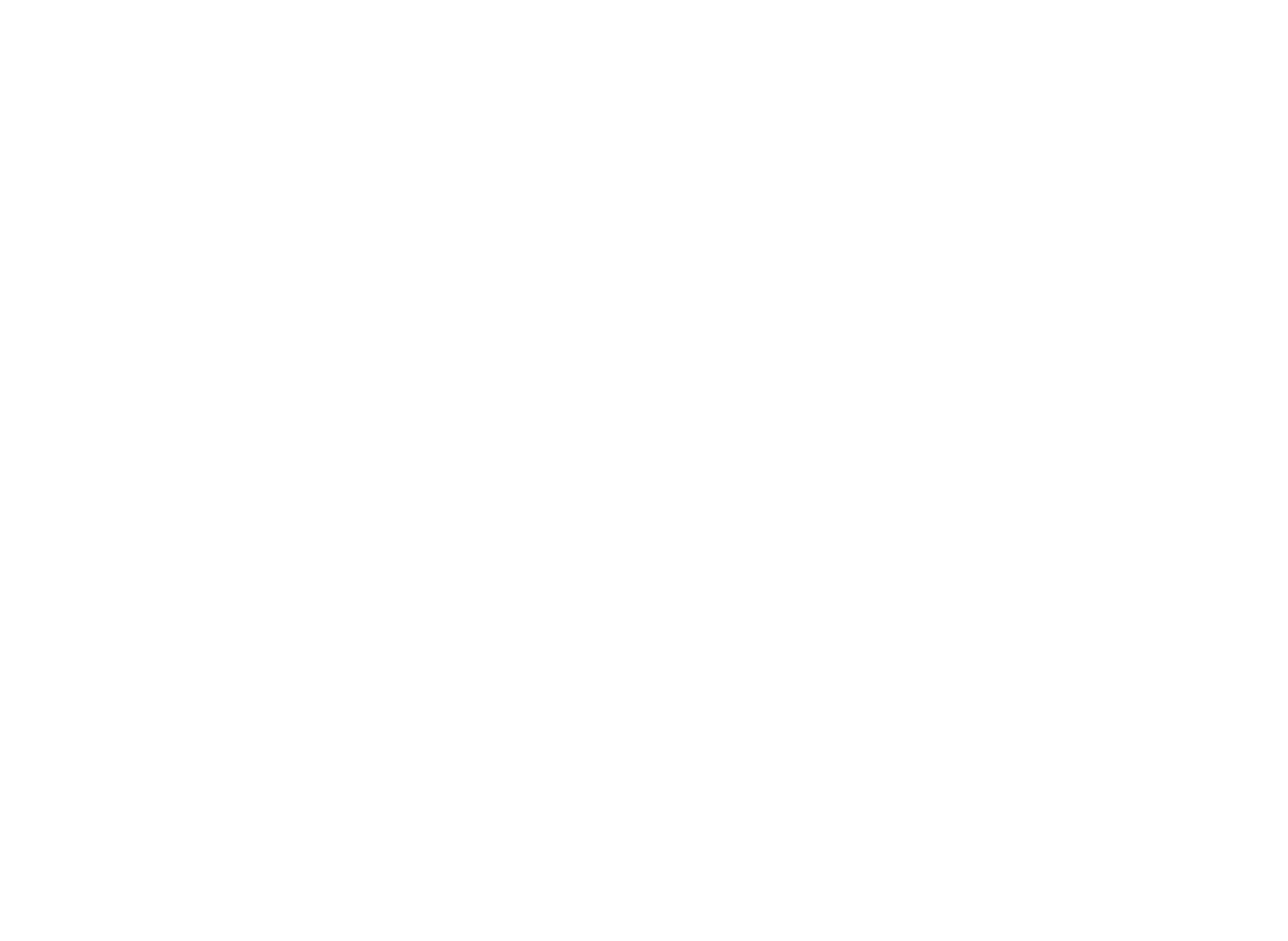 FinnSafe transparent icon - white - FOR WEB-01